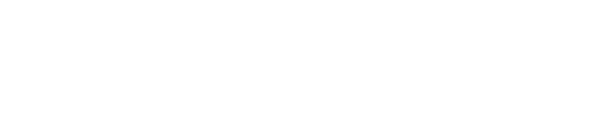 Emplifi Logo